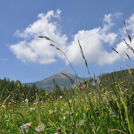 Rifugio Serot Roncegno エクステリア 写真