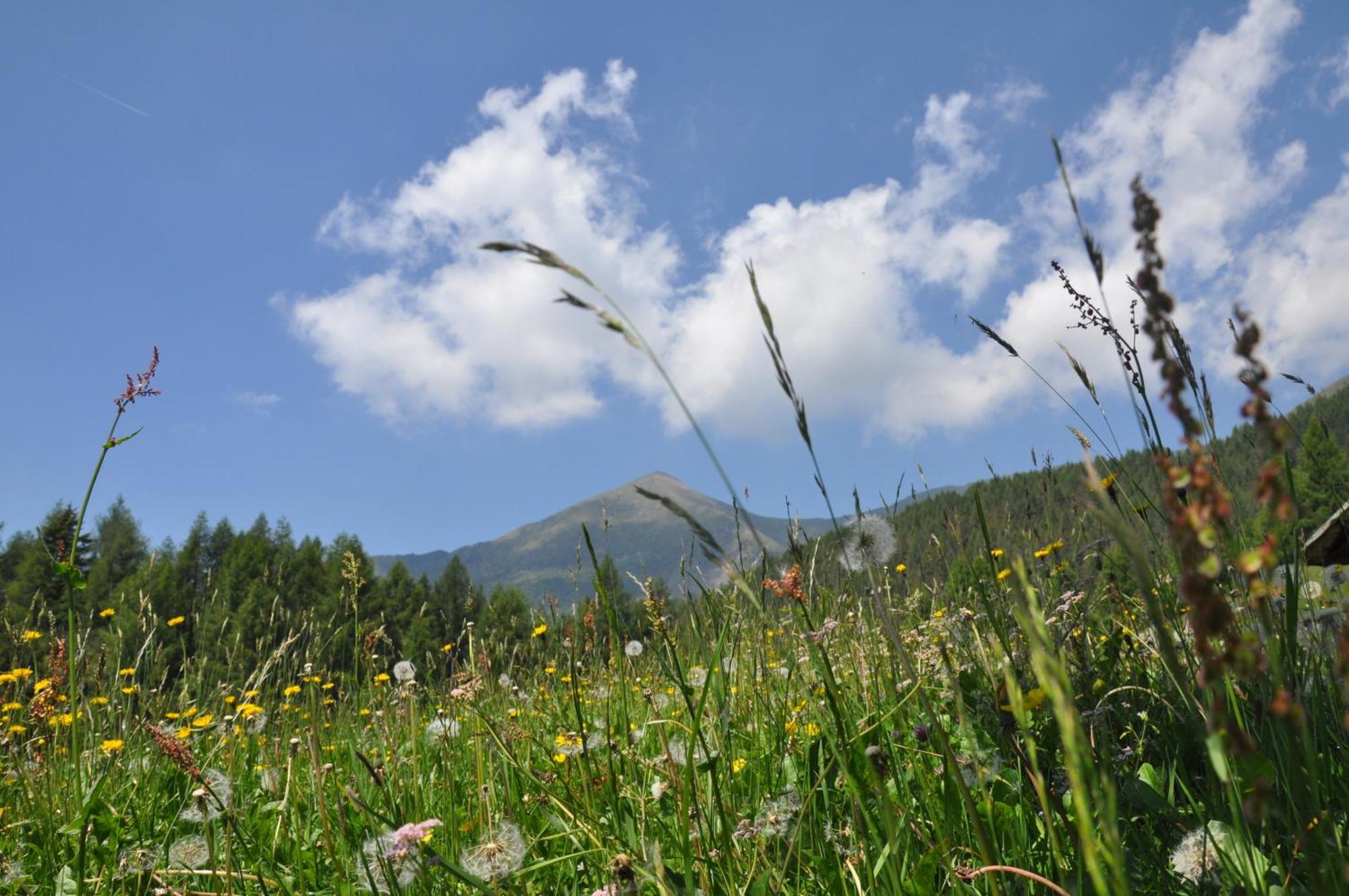 Rifugio Serot Roncegno エクステリア 写真